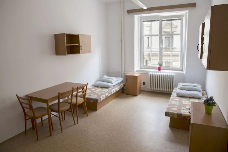 Dizzy Daisy Hostel