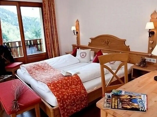 Standard Double room with balcony and with mountain view
