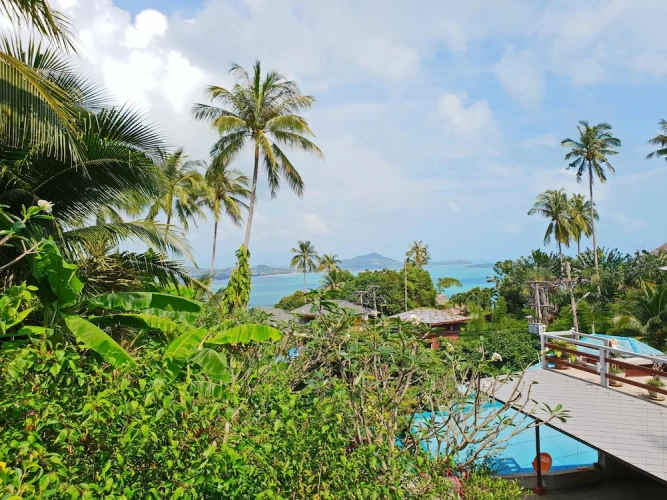 Superior Double Villa with balcony and with partial ocean view