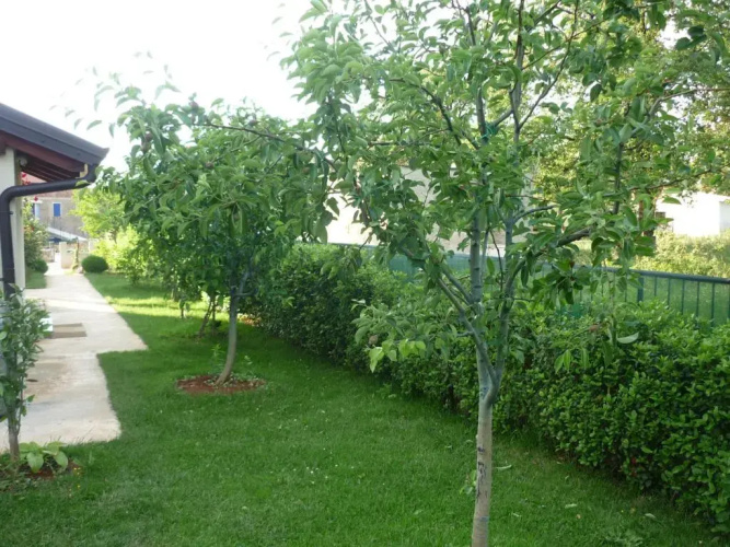 Apartmani Radin