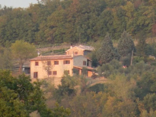 Panoramic Farmhouse With Swimming Pool - Monticello
