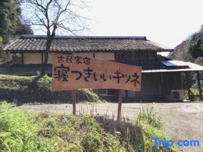Old Guest House / Sleeping Fox