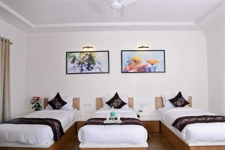 Premium Double room