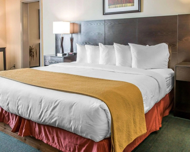 Quality Inn & Suites