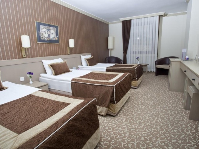 Standard Triple room