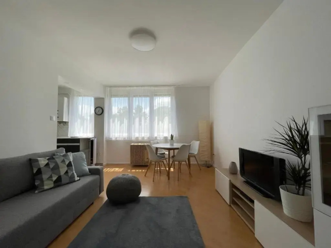 Balaton City Apartment