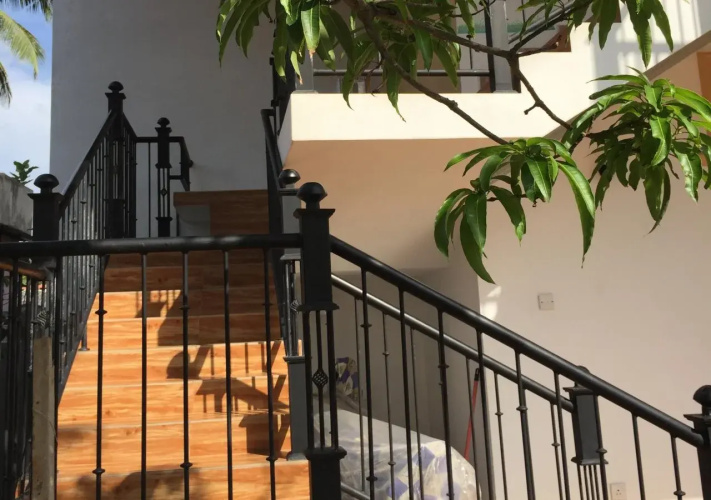 Olive Tree Guest House