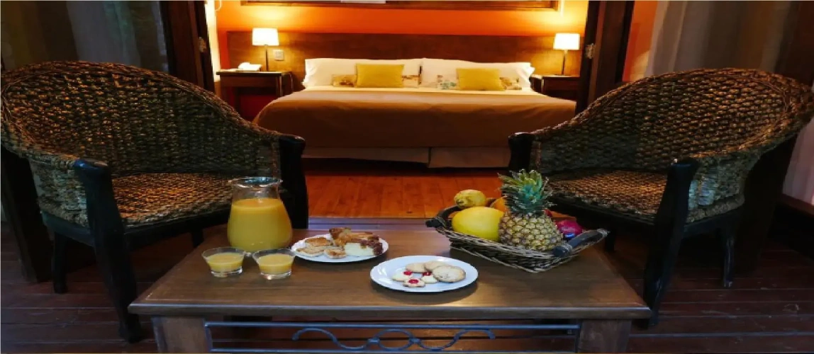 Standard Double room with balcony and with view