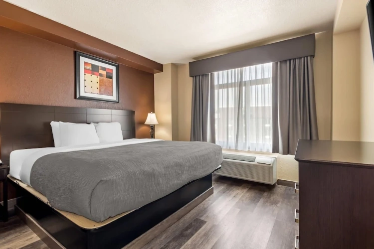 Standard Double Suite