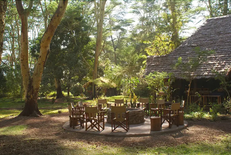 Migunga Forest Camp