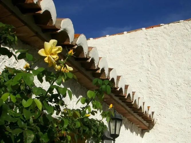 1 Bedroom Cottage
