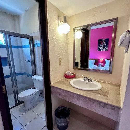Standard Double room with pool view