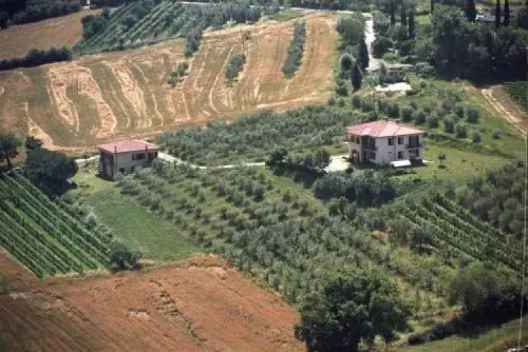 Il Girasole Bed & Breakfast