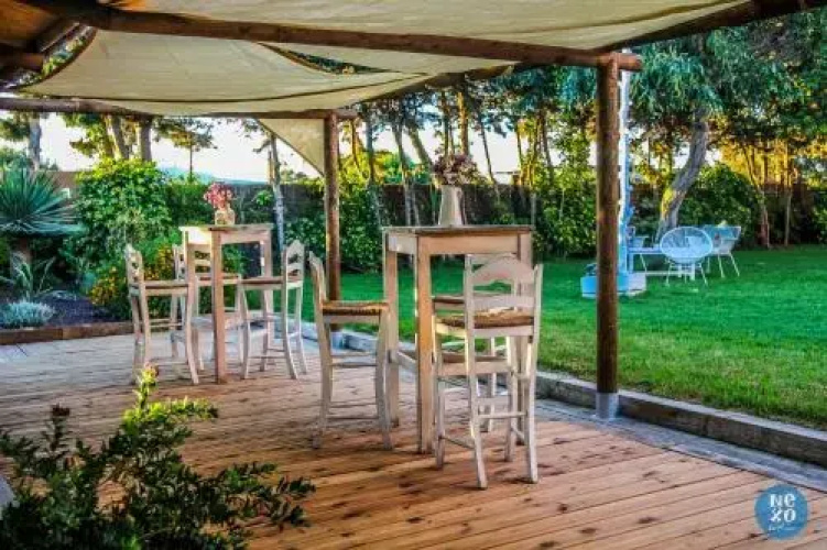 Nexo Surf House