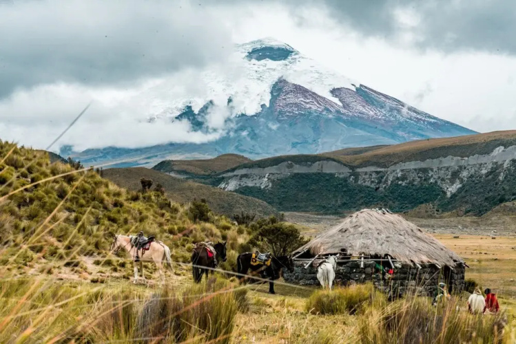 The Secret Garden Cotopaxi - Hostel