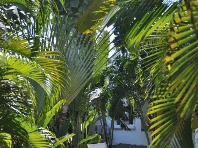 Deluxe Double room with balcony and with view