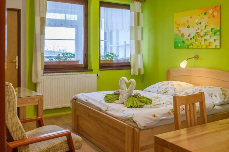 Standard Double room with mountain view