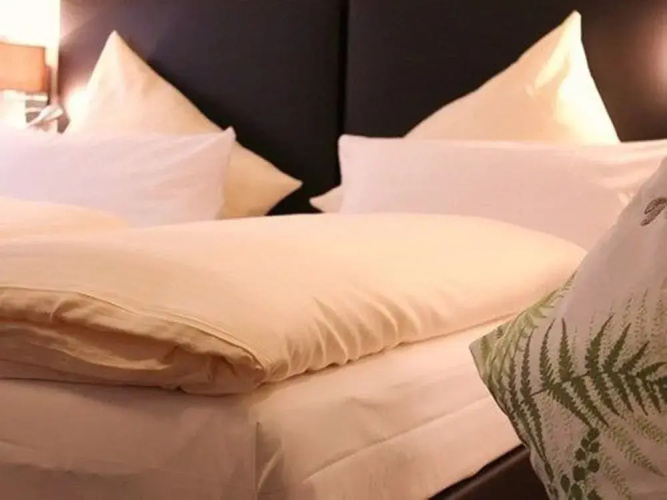 Baums Rheinhotel