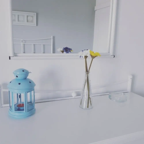 Standard Double room with balcony and with sea view
