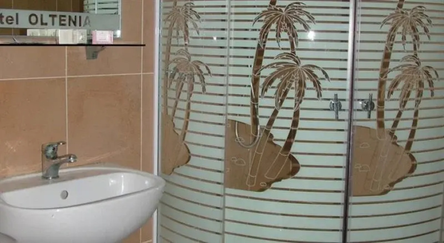 Hotel Oltenia
