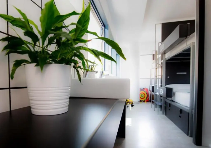 Standard Family room