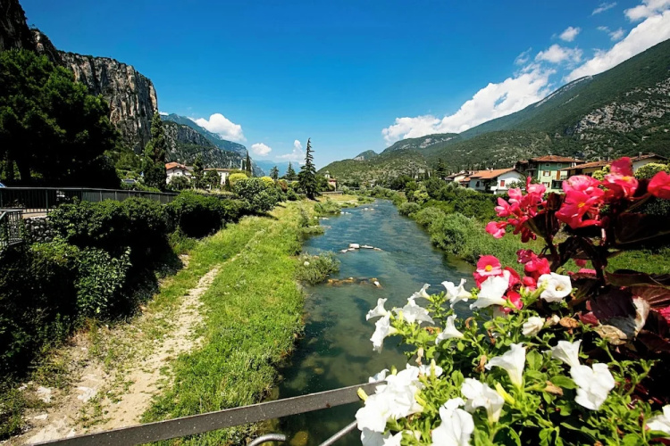 The Olive Tree Garden With Mountain View