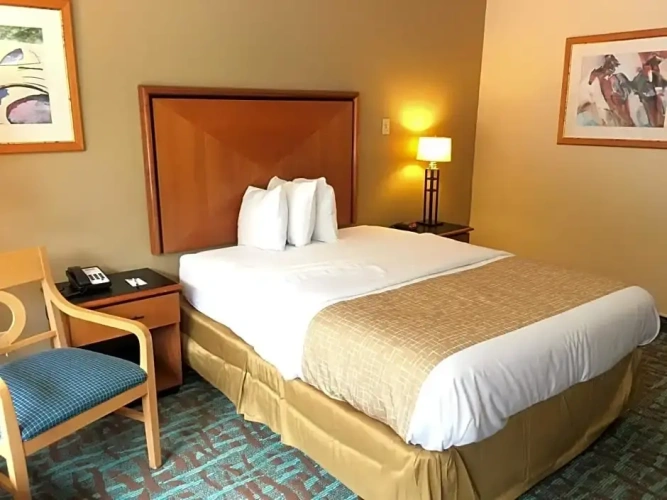 Double Suite