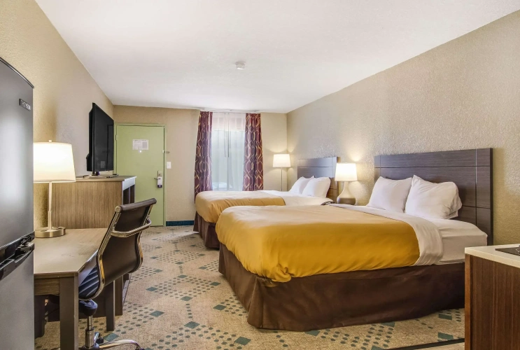 Quadruple Suite