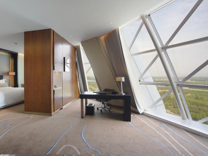 Deluxe Suite with city view