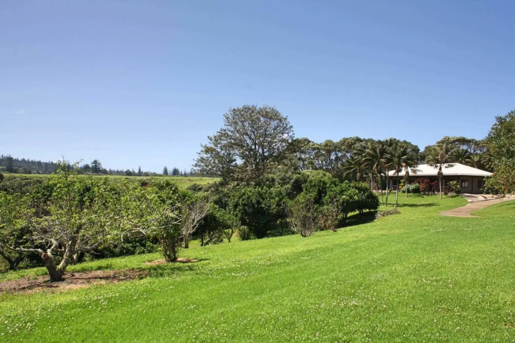 Tau Gardens
