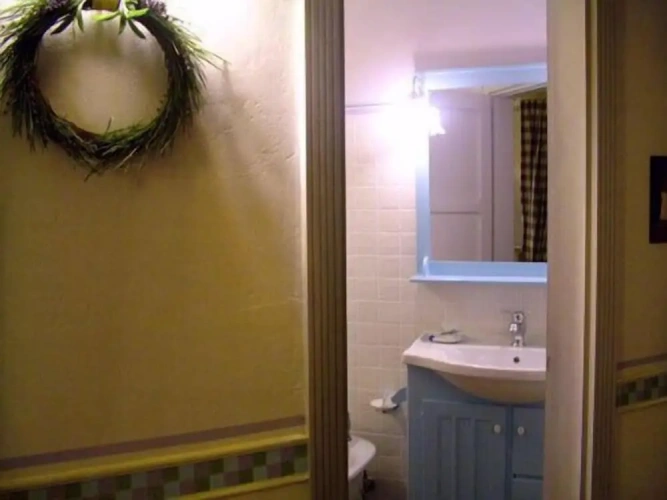 Standard Single room with park view