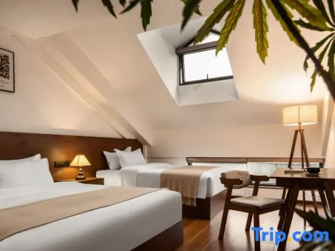 Standard Twin Family room