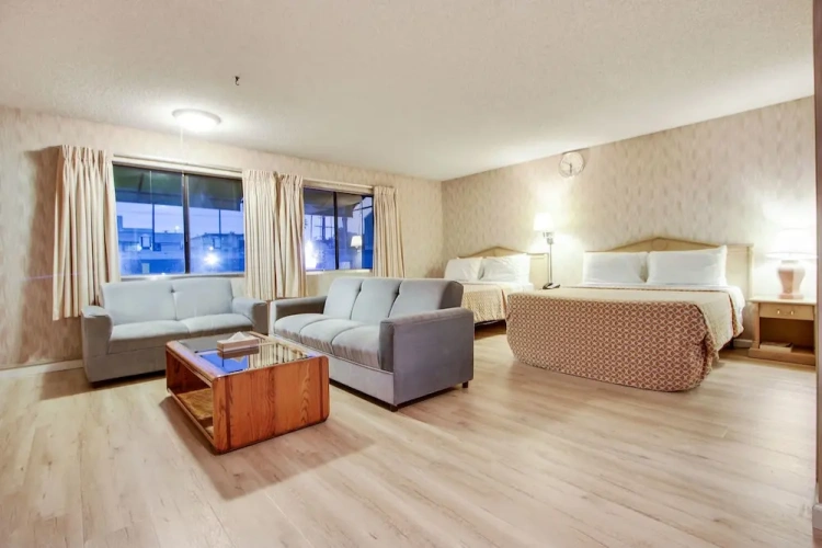 Standard Suite