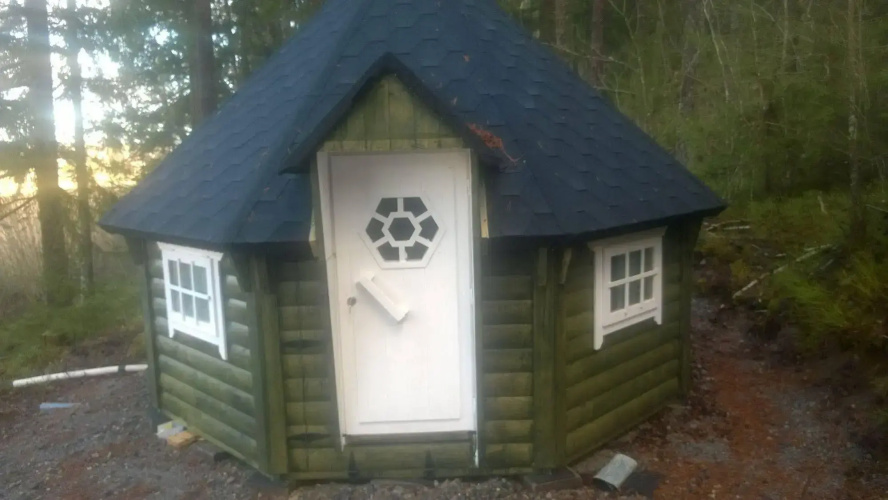 Koivukankare