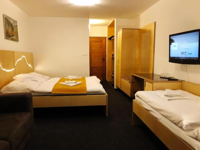 Standard Double room with mountain view