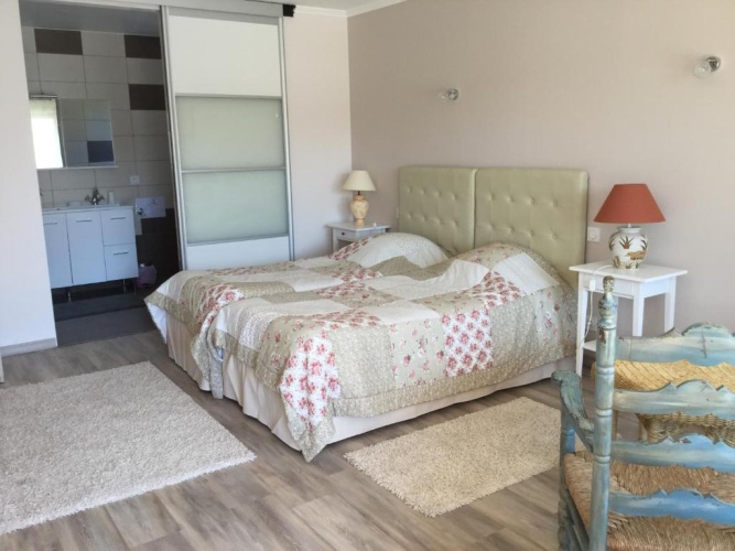 Standard Twin room with pool view