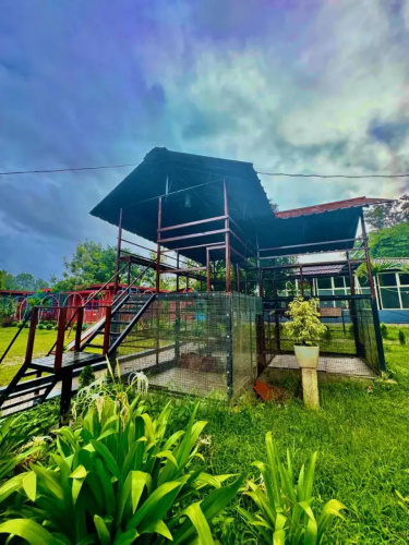 Coorg Nest Cottages