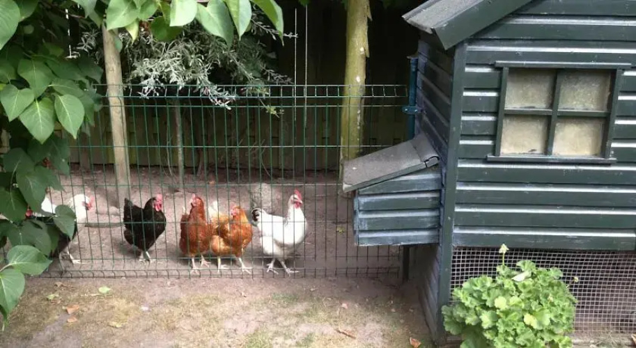 B&B De Vlinder
