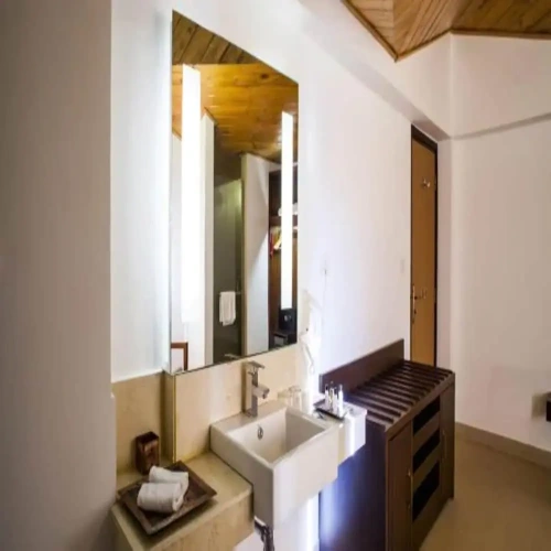 Standard Double room with balcony and with mountain view