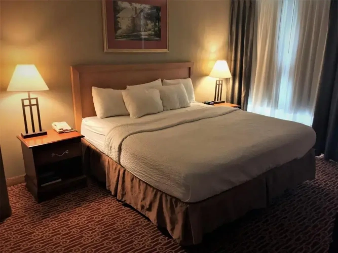 Suite
