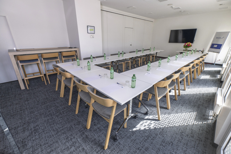 Holiday Inn Express Geneva Airport photo 18