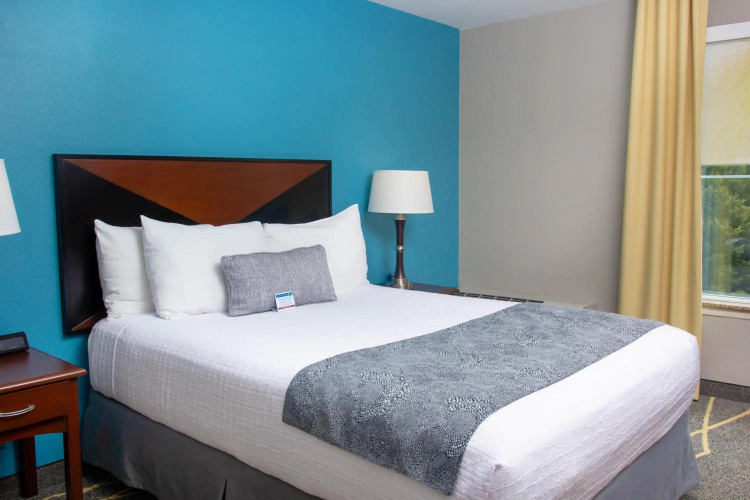 Belltown Inn photo 7