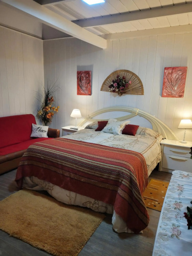 Colon 3436