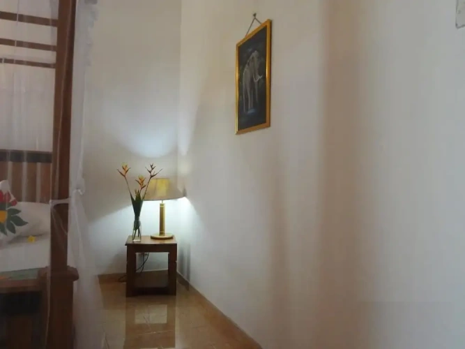 Economy Double room with garden view