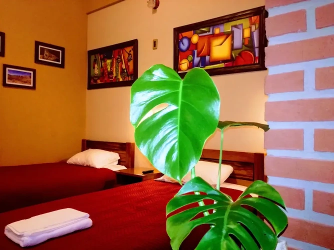 Comfort Triple room