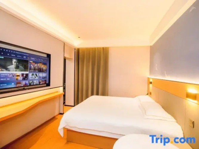 Executive Twin room