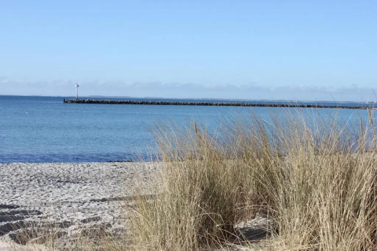 Fehmarn-OstseeferienFewoKrabbe 1551