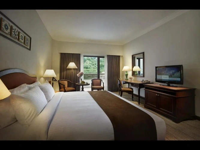 Deluxe Double room with balcony