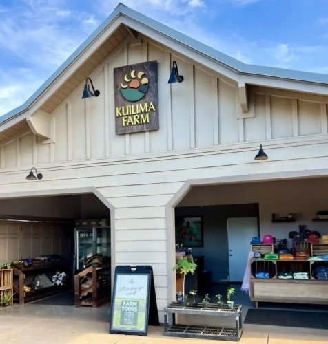 1 Bedroom Standard room