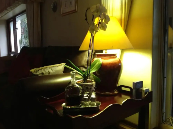 Plumbago&nbsp;Guest&nbsp;House
